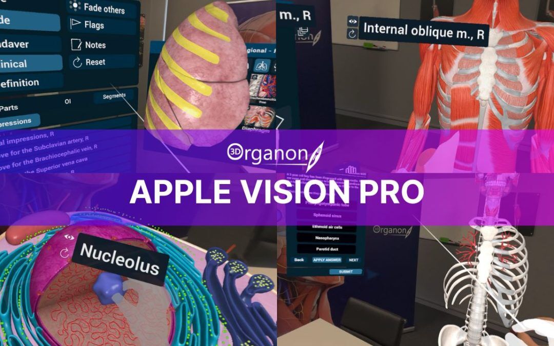 With 3D Organon and Apple Vision Pro, the next generation of medical professionals will be equipped with an unprecedented learning experience, one that fosters deep comprehension, hands-on engagement, and innovative problem-solving